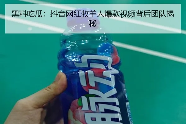 黑料吃瓜：抖音网红牧羊人爆款视频背后团队揭秘